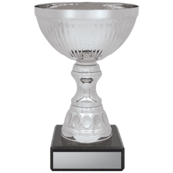 Reverie Cup - Silver