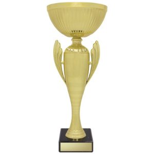 Guardian Cup