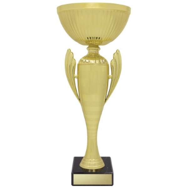 Guardian Cup