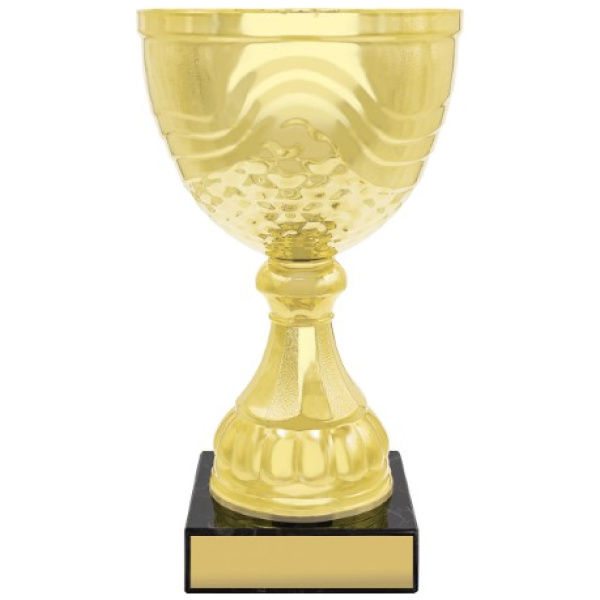 Community Cup