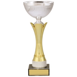 Equity - Gold & Silver