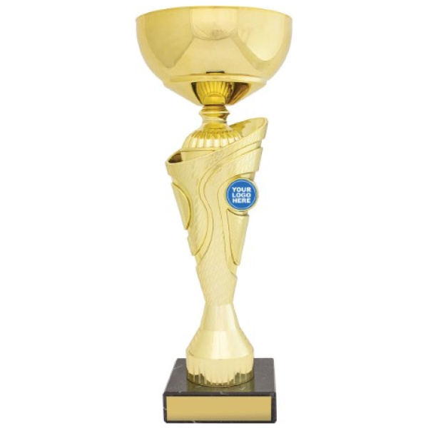 Inspire Cup