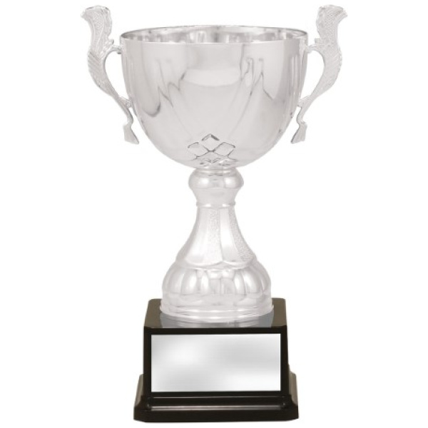 Silver Turin