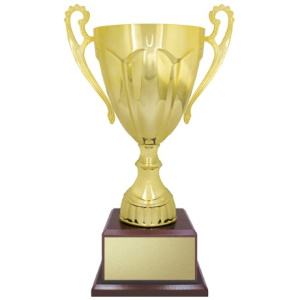 Gold Rubicon - Timber Base