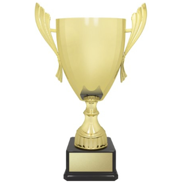 Ironside Cup - Gold