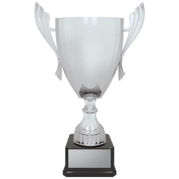 Ironside Cup - Silver