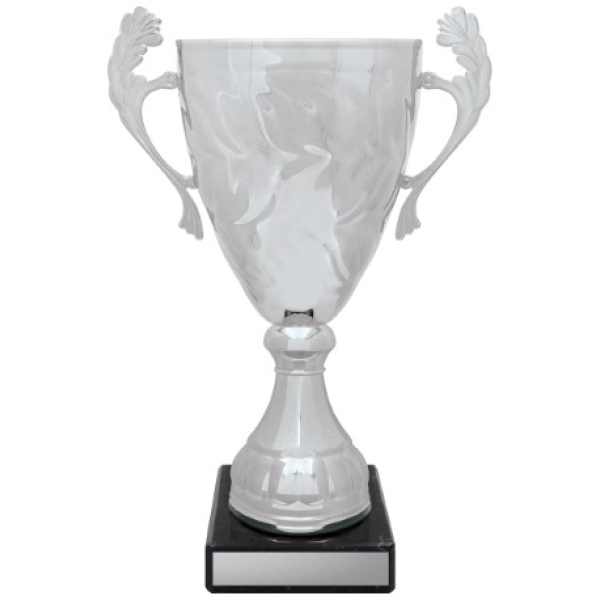 Silver Eternal Cups