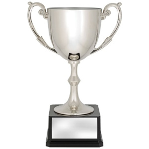 Recognition Cups