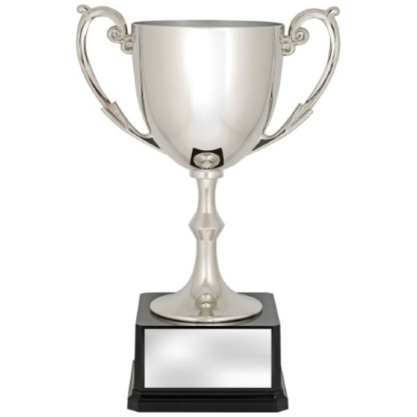 Recognition Cups