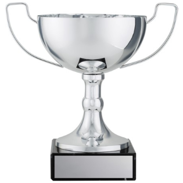 Vista Cup