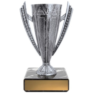 Silver Cup