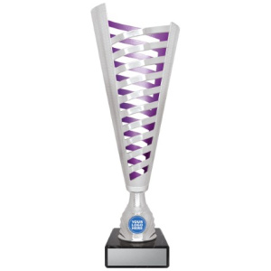 Citadel - Silver / Purple