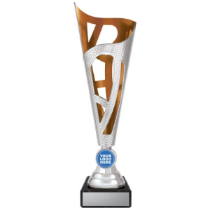 Dragon - Silver & Bronze