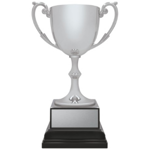 Ace Recognition Silver