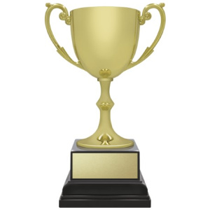 Ace Recognition Gold