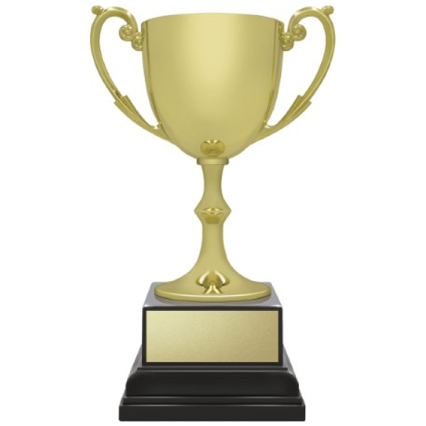 Ace Recognition Gold