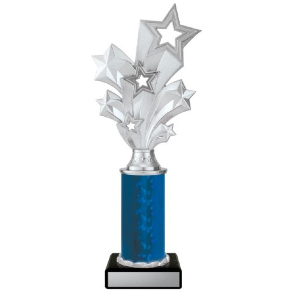 Silver Starburst