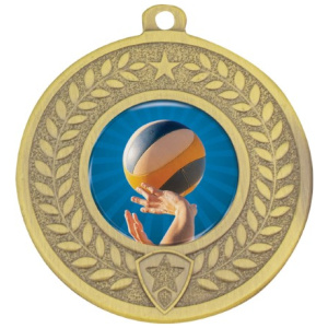 Distinction - Volleyball