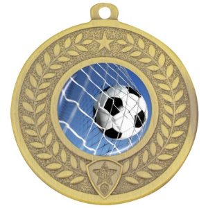 Distinction - Ball in Net