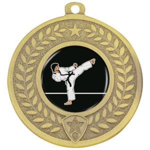 Distinction - Karate
