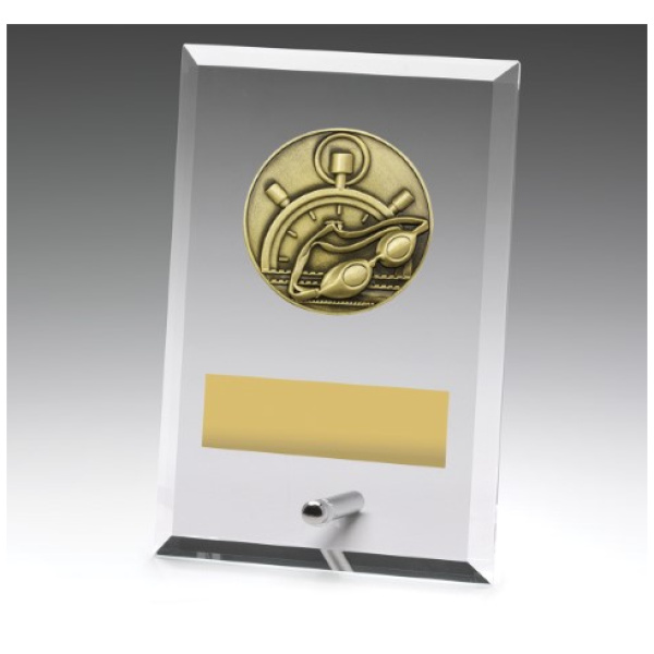 Glass Plaques - Swim