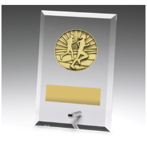 Glass Plaques - Cross Country