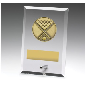 Glass Plaques - Pool