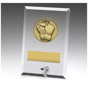 Glass Plaques - Boxing