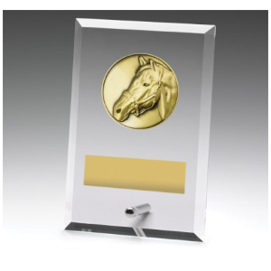 Glass Plaques - Horse