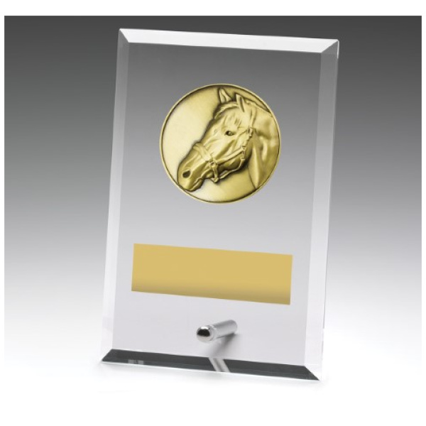Glass Plaques - Horse
