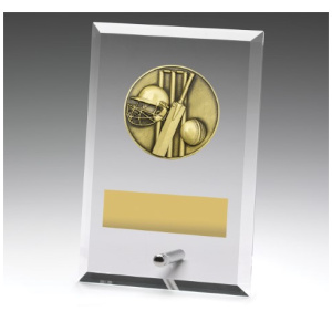 Glass Plaques - Cricket