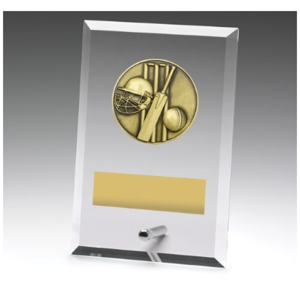 Glass Plaques - Cricket