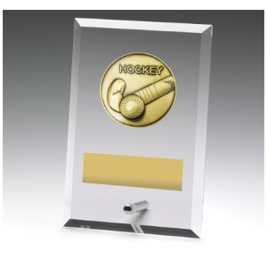 Glass Plaques - Hockey