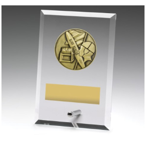 Glass Plaques - Lifesaving