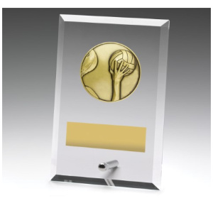 Glass Plaques - Water Polo