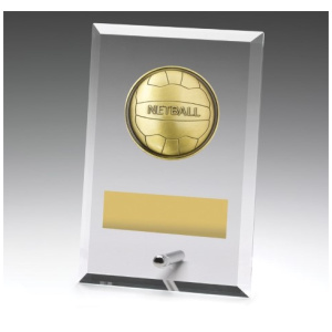 Glass Plaques - Netball