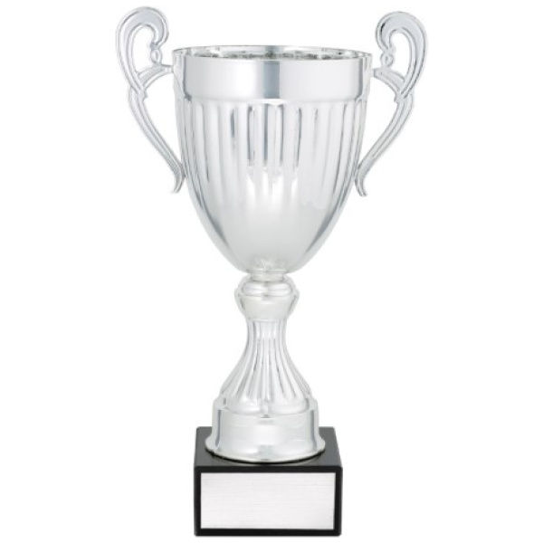 Endeavour - Silver