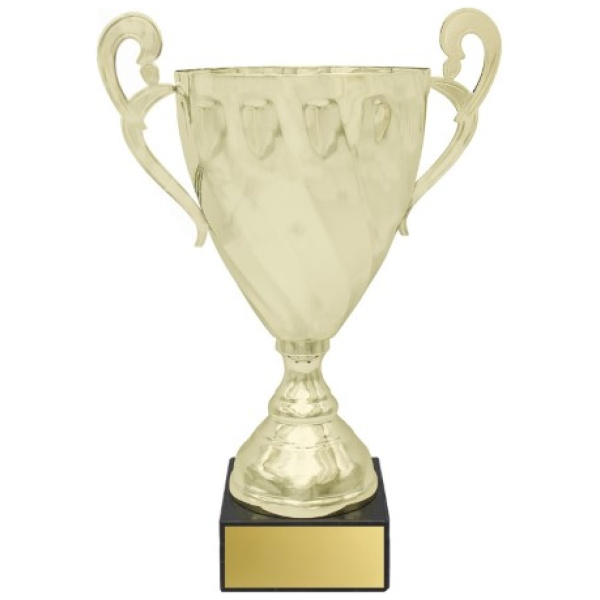 Fidelity Cup - Gold