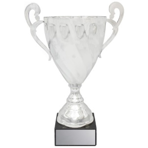 Fidelity Cup - Silver