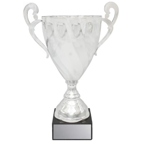 Fidelity Cup - Silver