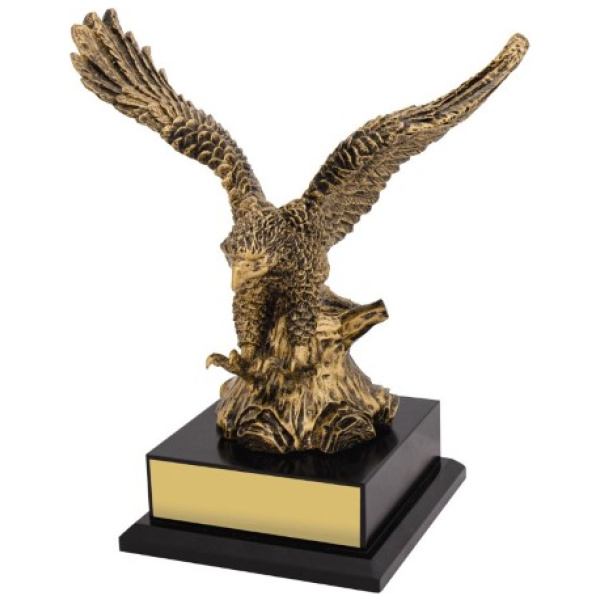 Soaring Success