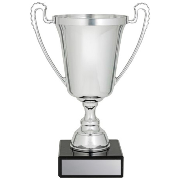 The Moment Cup