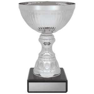 Reverie Cup - Silver