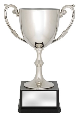 Recognition Cups