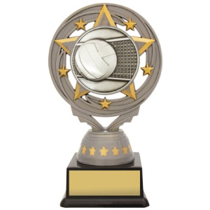 Silver Volleyball Torch