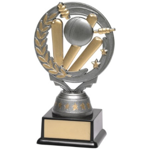 Cricket Silver Torch