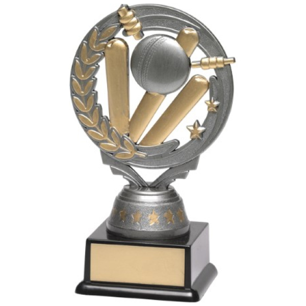 Cricket Silver Torch