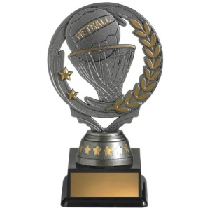 Budget Torch - Netball