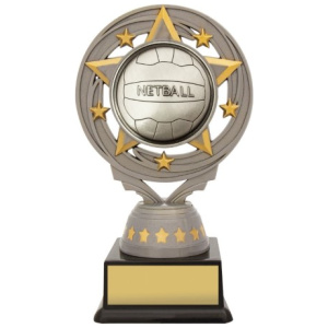 Silver Netball Torch