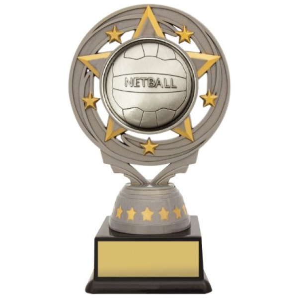 Silver Netball Torch